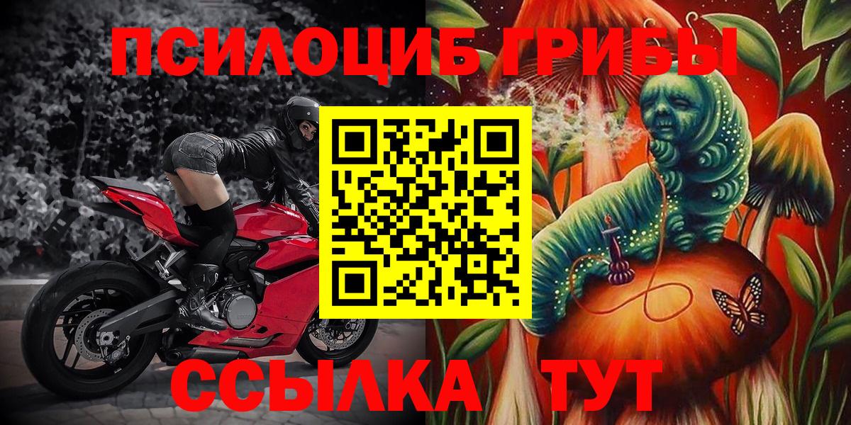 Галлюциногенные грибы мицелий Родники